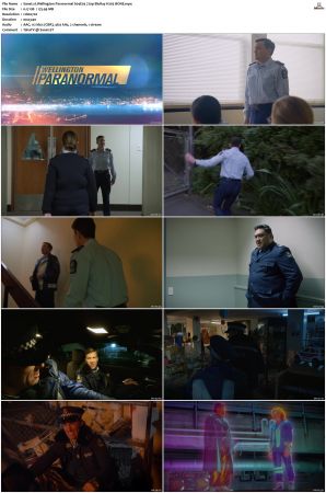 Wellington Paranormal S01 S04 720p BluRay H265 BONE