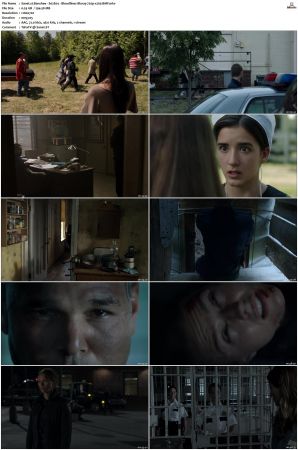 Banshee S01 S04 SUPER-PACK 720p x265-BMF