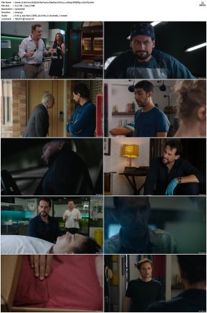 Harrow S01 S03 WEBRip EAC3 5 1 1080p x265-iVy