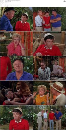 Gilligans Island S01 S03 DVDRip H264-NGP