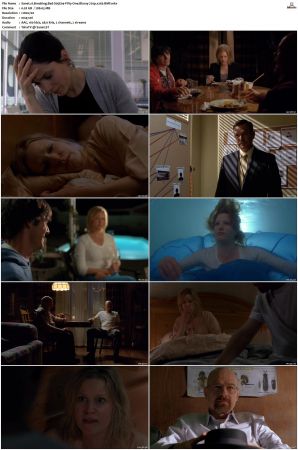 Breaking Bad S01 S05 SUPER-PACK 720p Bluray x265-BMF