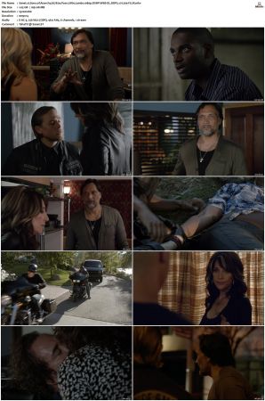 Sons of Anarchy S01-S07 SUPER-PACK 1080p WEBRip 10Bit DDP5.1 HEVC-d3g