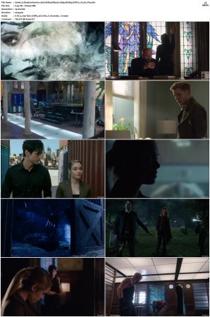 Shadowhunters S01 S03 1080p BluRay DDP 5 1 x265-iVy