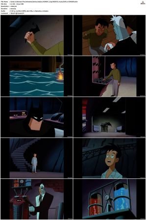 Batman The Animated Series S01-S04 720p WEB-DL H265 DDP2.0-CiNEMiX