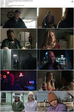 Hightown S01 S03 WEBRip EAC3 5 1 1080p x265-iVy