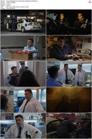 Wellington Paranormal S01 S04 720p BluRay H265 BONE