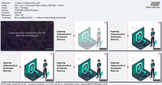 Cybersecurity Awareness for Remote Workers