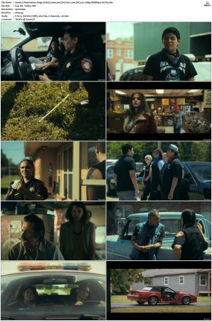 Reservation Dogs S01 S03 WEBRip EAC3 5 1 1080p x265-iVy