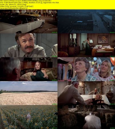 Prime Cut 1972 REMASTERED BDRip x264-GAZER