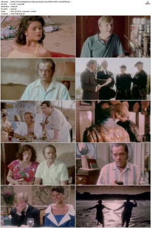 The Darling Buds of May 1991 S01 S03 720p WEB-DL HEVC x265 BONE
