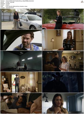 Walker S01 S04 WEBRip EAC3 5 1 1080p x265-iVy