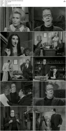 The Munsters 1964 S01 S02 DVDRip MPEG-NGP