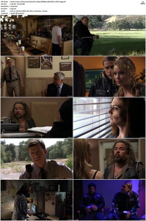 Sons of Anarchy S01 S07 SUPER-PACK 1080p WEBRip 10Bit DDP5 1 HEVC-d3g