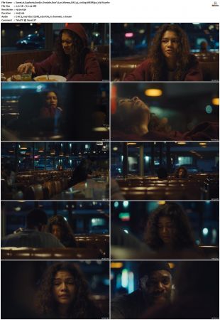 Euphoria S01 S02 WEBRip EAC3 5 1 1080p x265-iVy