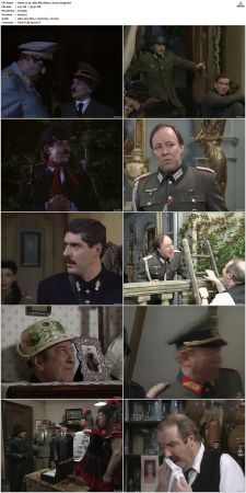 Allo Allo 1984 S01-S09 DVDRip X264-NGP