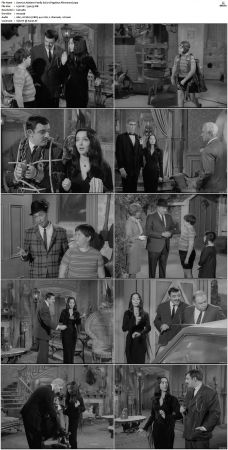 The Addams Family 1964 S01-S02 DVDRip X264-NGP