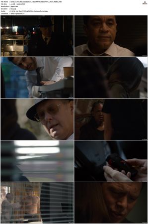 The Blacklist S08 2160p NF WEB-DL DDP5 1 HEVC-XEBEC