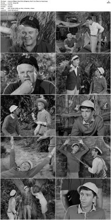 Gilligans Island S01 S03 DVDRip H264-NGP