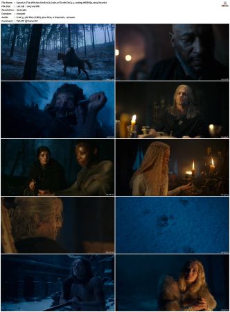 The Witcher S01 S03 WEBRip EAC3 5 1 1080p x265-iVy
