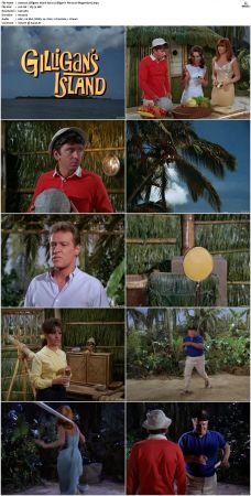 Gilligans Island S01 S03 DVDRip H264-NGP