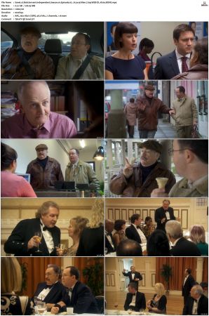 Bob Servant Independent 2013 S01 S02 720p WEB-DL H264 BONE