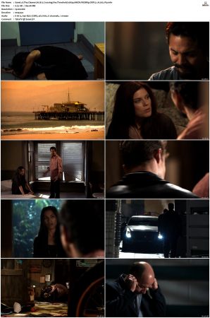 The Cleaner S01 S02 1080p AMZN WEBRip DDP 5 1 x265-iVy