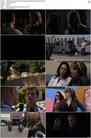 Sons of Anarchy S01 S07 SUPER-PACK 1080p WEBRip 10Bit DDP5 1 HEVC-d3g