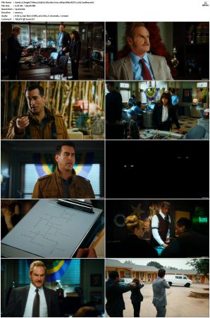 Angie Tribeca S01 S04 SUPER-PACK 1080p Web DDP5 1 HEVC x265-JoeBee