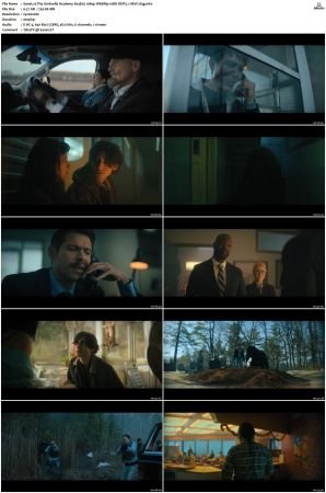 The Umbrella Academy S01-S04 1080p NF WEBRip 10Bit DDP5.1 HEVC-d3g
