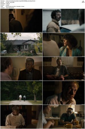 True Detective S01-S04 COMPLETE 720p BluRay x264-GalaxyTV