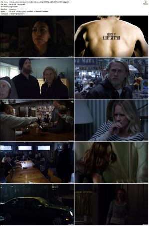 Sons of Anarchy S01-S07 SUPER-PACK 1080p WEBRip 10Bit DDP5.1 HEVC-d3g