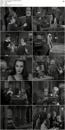 The Munsters 1964 S01 S02 DVDRip MPEG-NGP