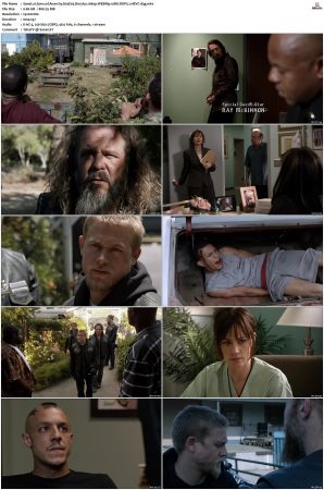 Sons of Anarchy S01-S07 SUPER-PACK 1080p WEBRip 10Bit DDP5.1 HEVC-d3g