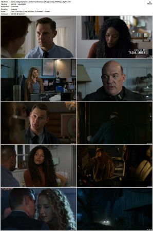 Big Sky S01 S03 WEBRip EAC3 5 1 1080p x265-iVy