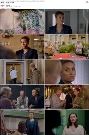 McDonald and Dodds 2020 S01 S04 720p REPACK WEB-DL HEVC x265 BONE