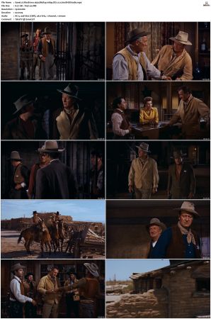 Rio Bravo 1959 BluRay 1080p DD 1.0 x264-BHDStudio