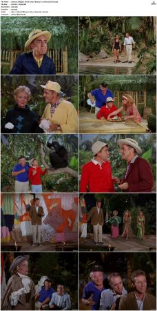 Gilligans Island S01 S03 DVDRip H264-NGP