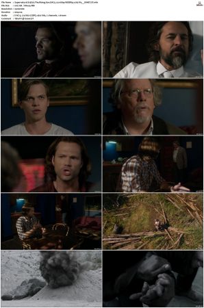 Supernatural S01 S15 WEBRip EAC3 2 0 1080p x265-iVy