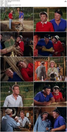 Gilligans Island S01 S03 DVDRip H264-NGP