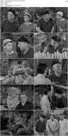 Gilligans Island S01 S03 DVDRip H264-NGP