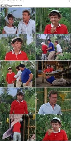 Gilligans Island S01 S03 DVDRip H264-NGP