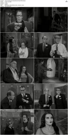 The Munsters 1964 S01 S02 DVDRip MPEG-NGP