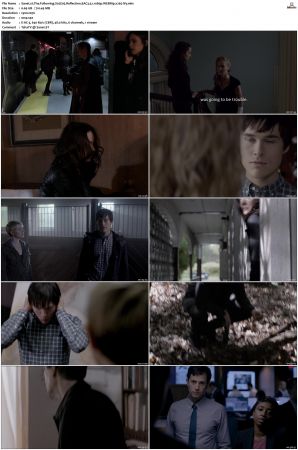 The Following S01-S03 1080p WEBRip EAC3 5.1 x265-iVy