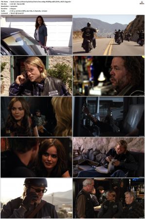 Sons of Anarchy S01 S07 SUPER-PACK 1080p WEBRip 10Bit DDP5 1 HEVC-d3g