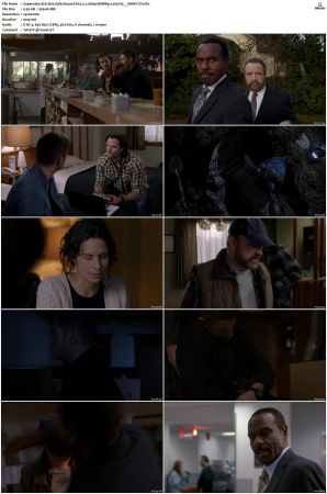 Supernatural S01 S15 WEBRip EAC3 2 0 1080p x265-iVy