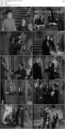 The Addams Family 1964 S01-S02 DVDRip X264-NGP