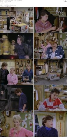 The Hogan Family aka Valerie 1986 S01-S06 SUPER-PACK TVRip x264-NOGRP