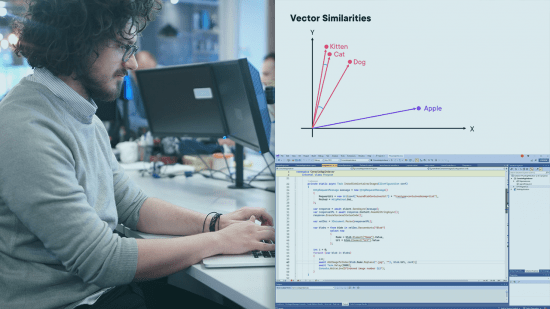 Vector Databases &amp; Embeddings for Developers