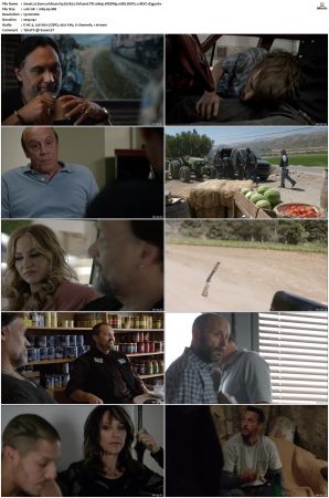 Sons of Anarchy S01-S07 SUPER-PACK 1080p WEBRip 10Bit DDP5.1 HEVC-d3g