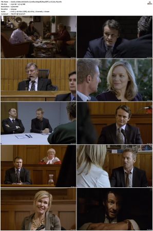 Rake S01 S05 1080p BluRay DDP 2 0 x265-iVy